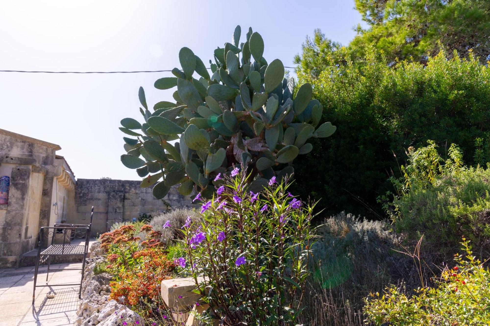 Masseria Caliani Borgagne Zewnętrze zdjęcie
